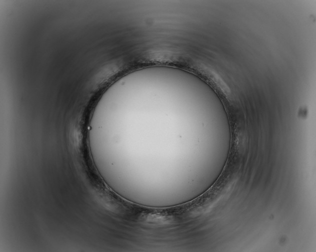 X0000103140635200808291339