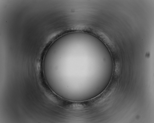 X0000103140636200808291339