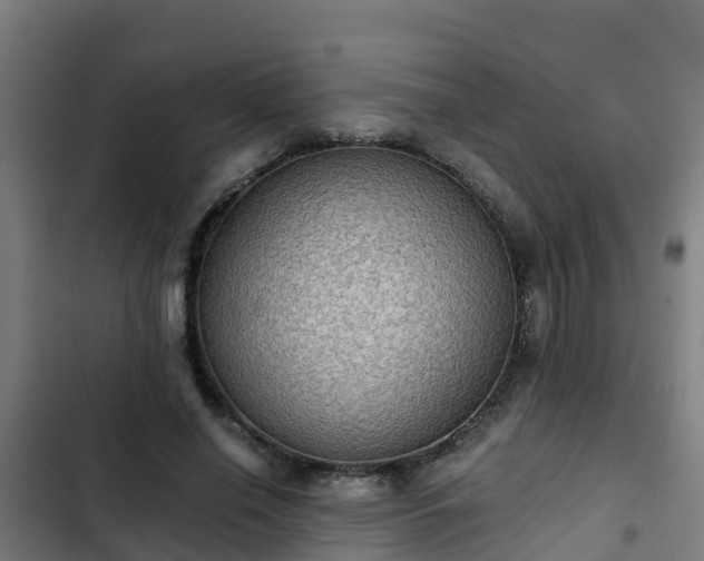 X0000103140638200808291340