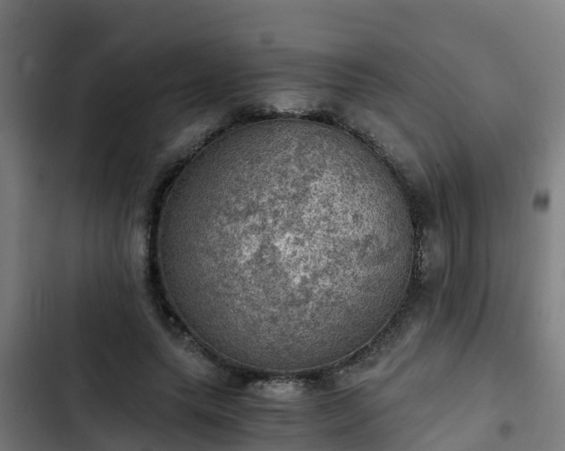 X0000103140639200808291340