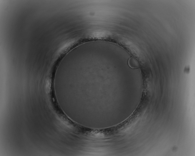 X0000103140640200808291340