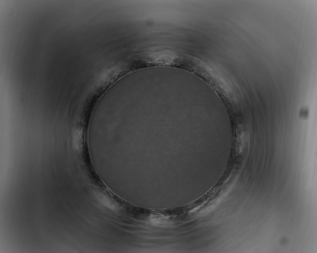 X0000103140641200808291340