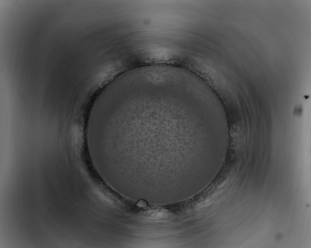 X0000103140642200808291340