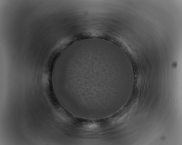 X0000103140643200808291340