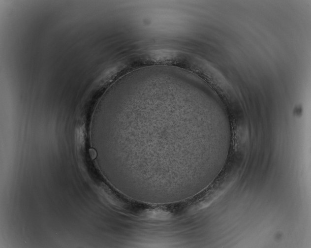 X0000103140644200808291340