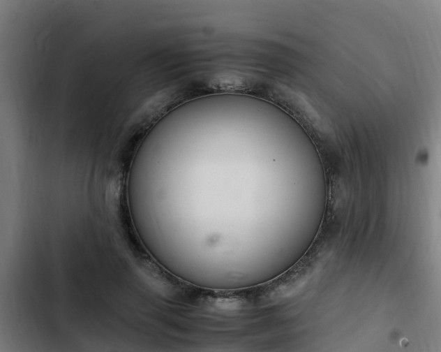 X0000103140645200808291340