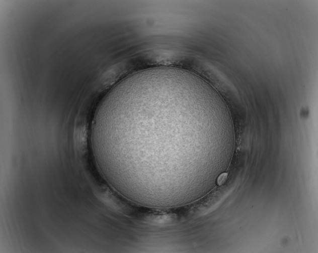 X0000103140646200808291340