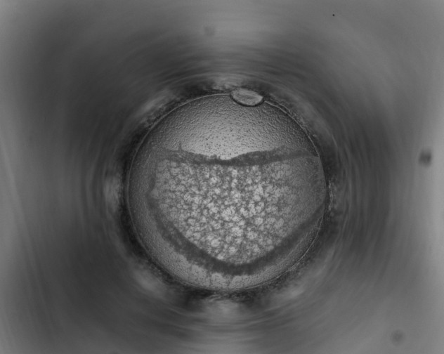 X0000103140648200808291340