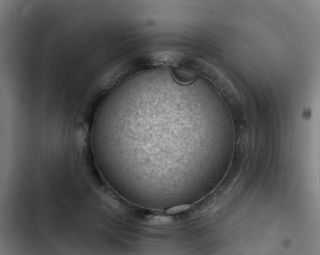 X0000103140649200808291340