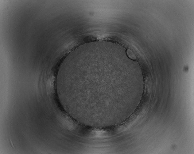 X0000103140650200808291340