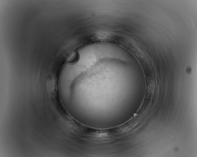 X0000103140651200808291340