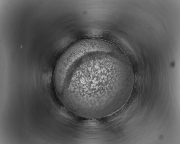 X0000103140652200808291340