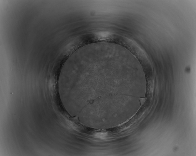 X0000103140653200808291340