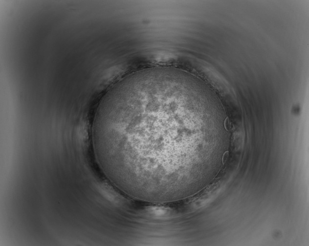 X0000103140654200808291340