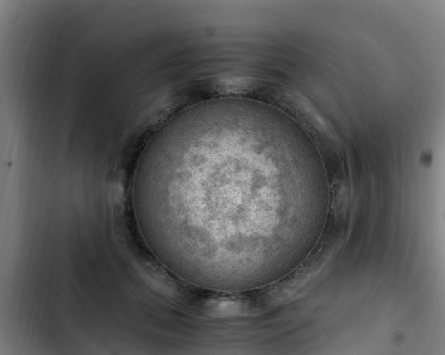 X0000103140655200808291340