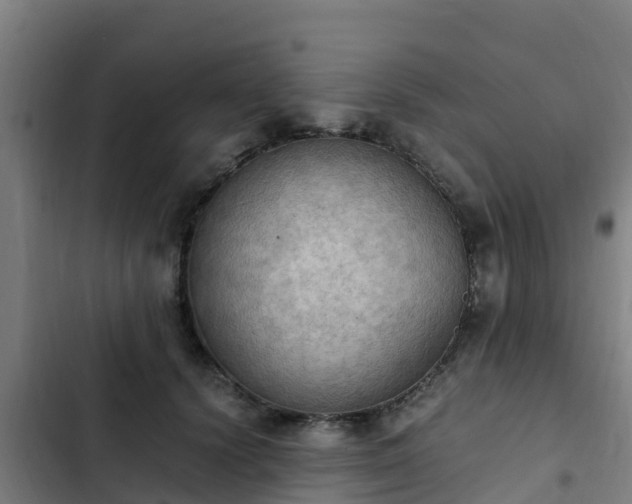 X0000103140656200808291340