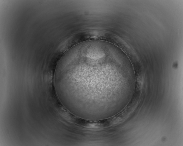 X0000103140657200808291340