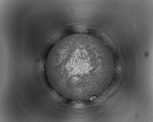 X0000103140658200808291340