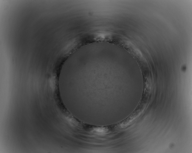 X0000103140659200808291340