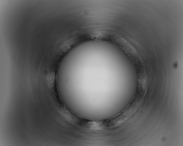 X0000103140660200808291340