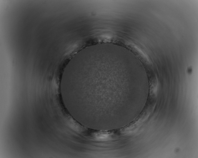 X0000103140661200808291340