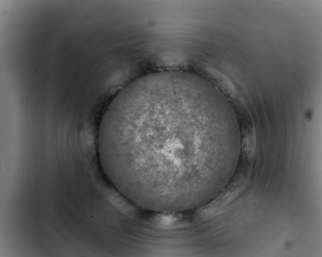 X0000103140662200808291340