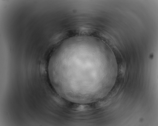 X0000103140663200808291340