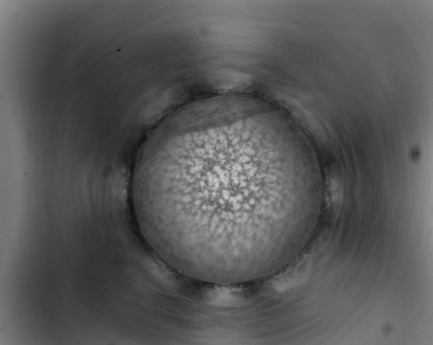 X0000103140664200808291340