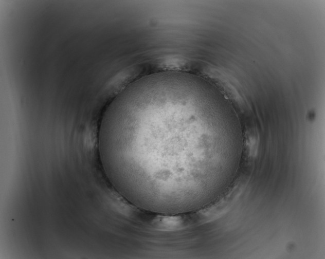 X0000103140665200808291340