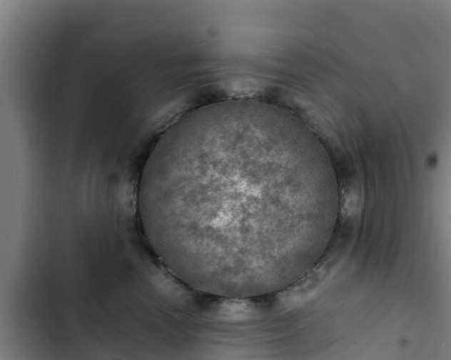 X0000103140666200808291340