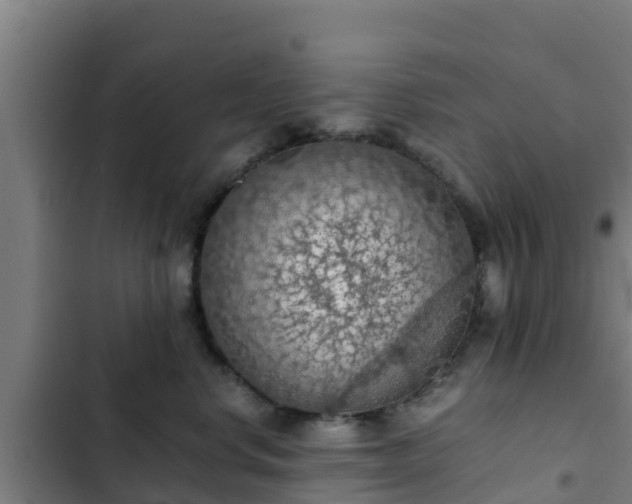 X0000103140668200808291340