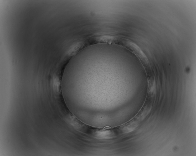 X0000103140669200808291340