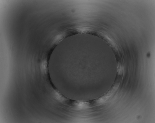 X0000103140670200808291340