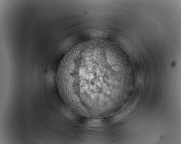 X0000103140671200808291340