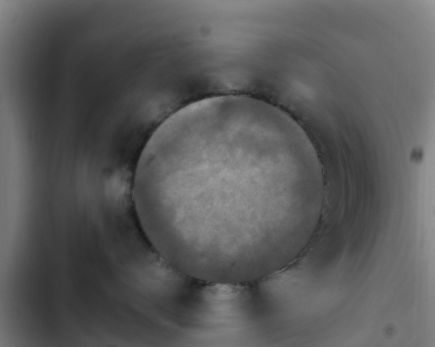 X0000103140672200808291340