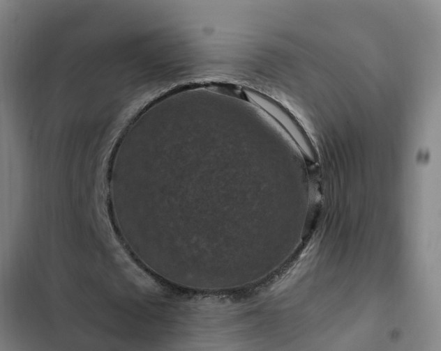 X0000103140673200808291339