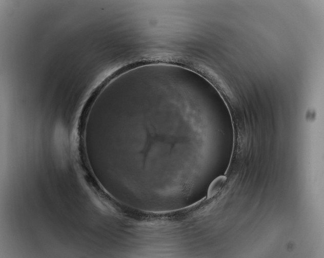 X0000103140674200808291339