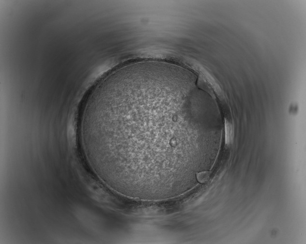 X0000103140675200808291339