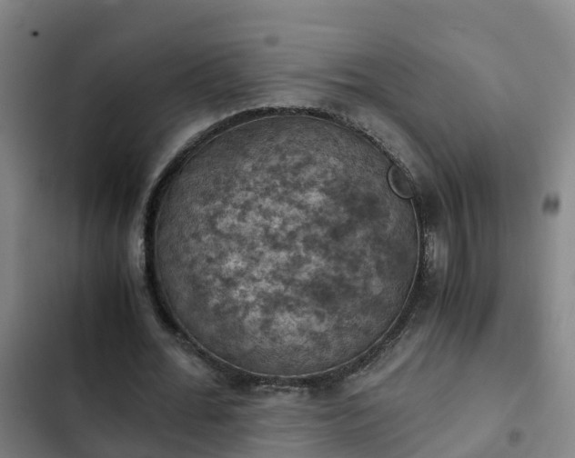 X0000103140676200808291339