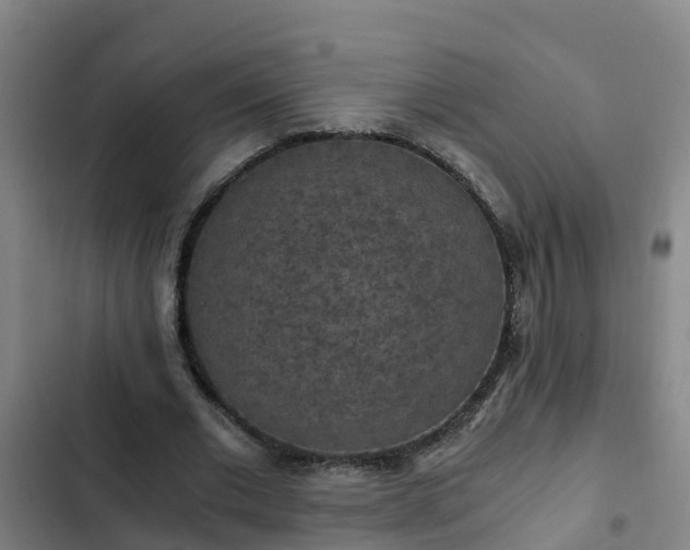 X0000103140677200808291339