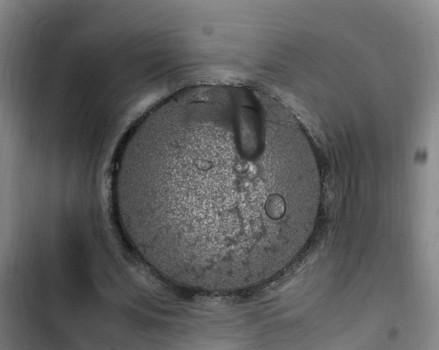 X0000103140679200808291339