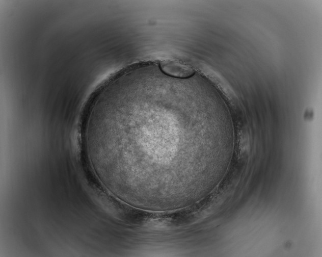 X0000103140680200808291339