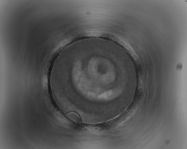 X0000103140681200808291339