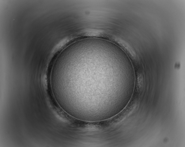 X0000103140682200808291339