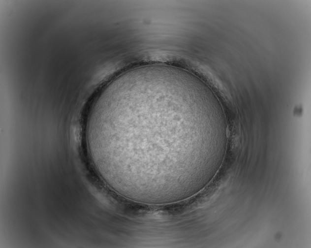 X0000103140683200808291339