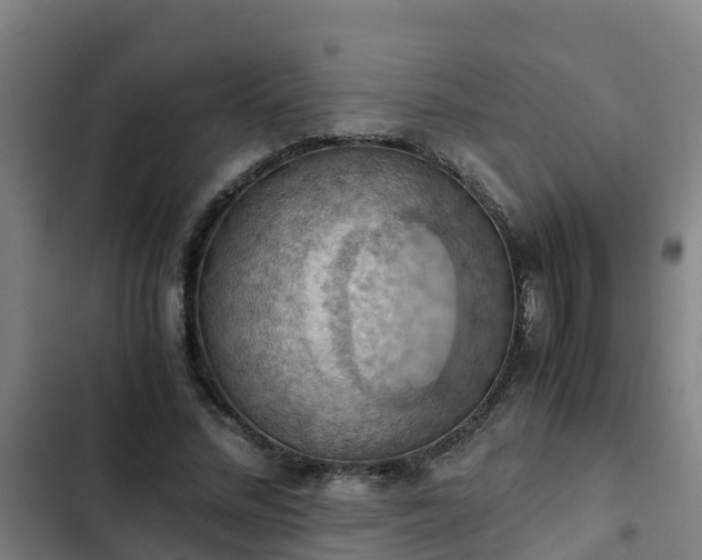 X0000103140684200808291339