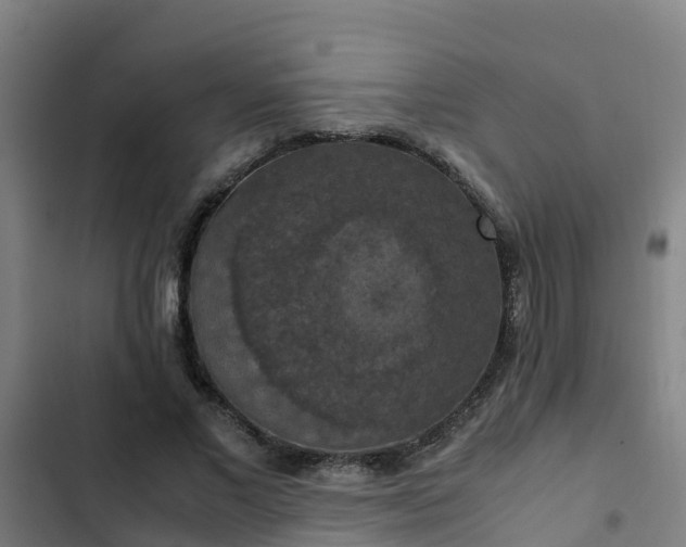 X0000103140685200808291339