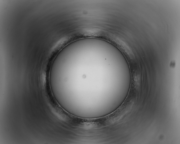 X0000103140686200808291339