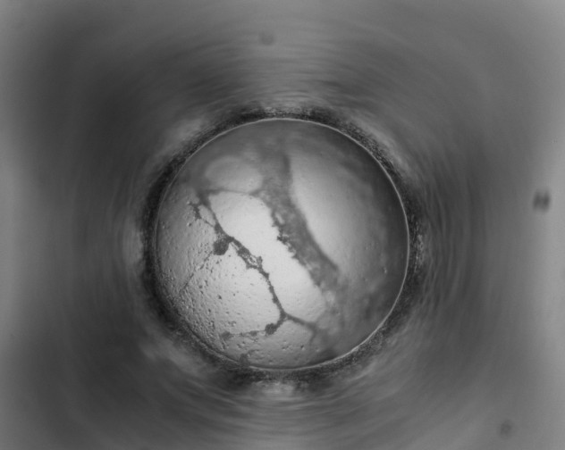 X0000103140687200808291339