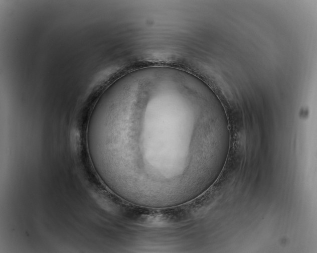 X0000103140688200808291339